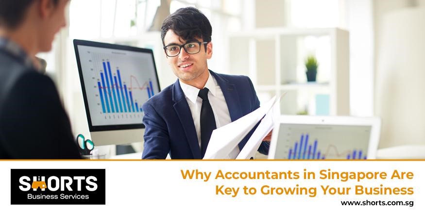 Why Accountants in Singapore Are Key to Growing Your Business